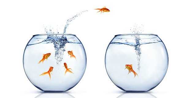 Visitors into customers